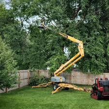 How Our Tree Care Process Works  in Oak Park Heights, MN